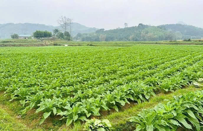 media_image3